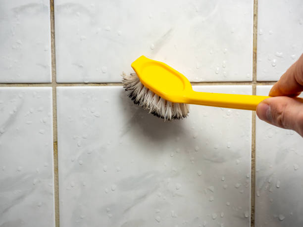 Best Same-Day Mold Removal  in League City, TX