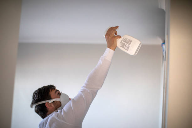 Professional Mold Removal in League City, TX