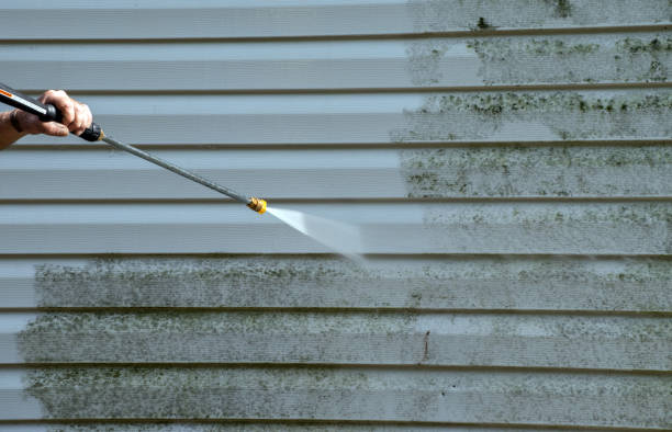 Best Toxic Mold Removal  in League City, TX