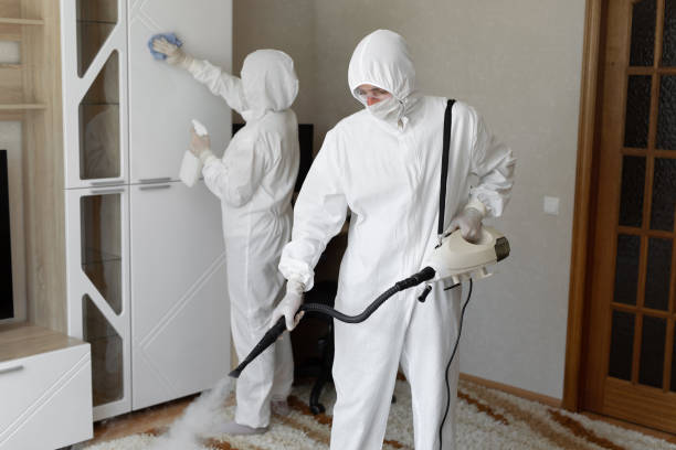 Best Certified Mold Removal  in League City, TX