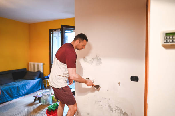 Best Crawl Space Mold Removal  in League City, TX